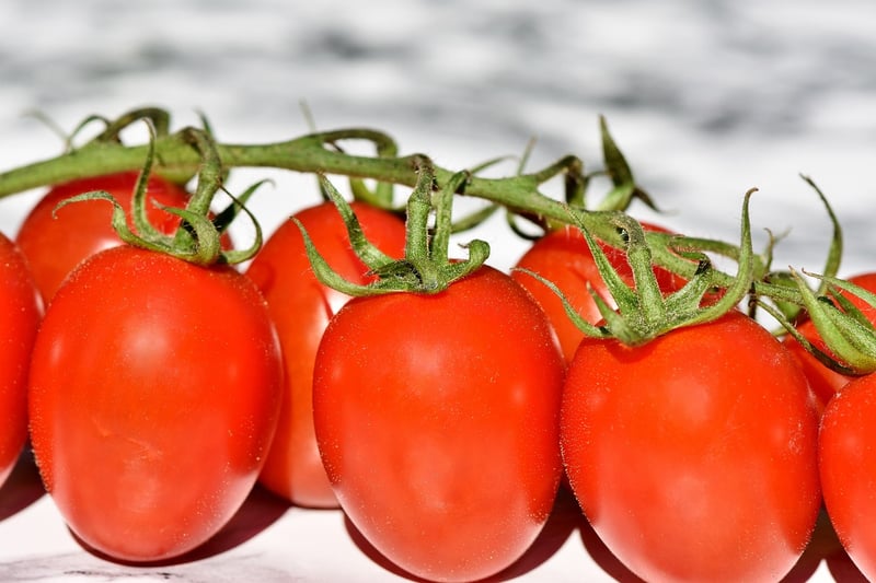 Fresh Vegetarian Options